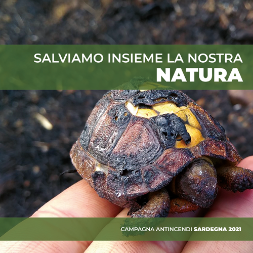 salviamoinsiemelanostranatura