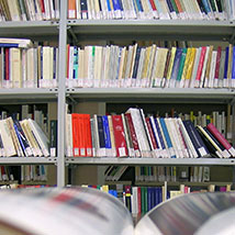 biblioteca, libri, cultura