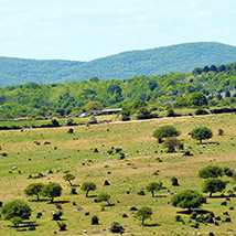 Campagna ambiente pascolo